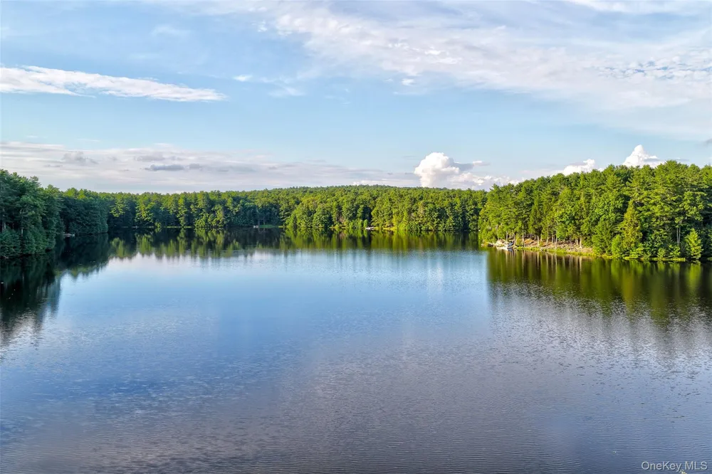 76 Timber Lake Drive Yulan, NY 12792