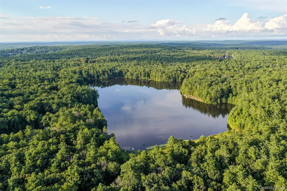 76 Timber Lake Drive Yulan, NY 12792