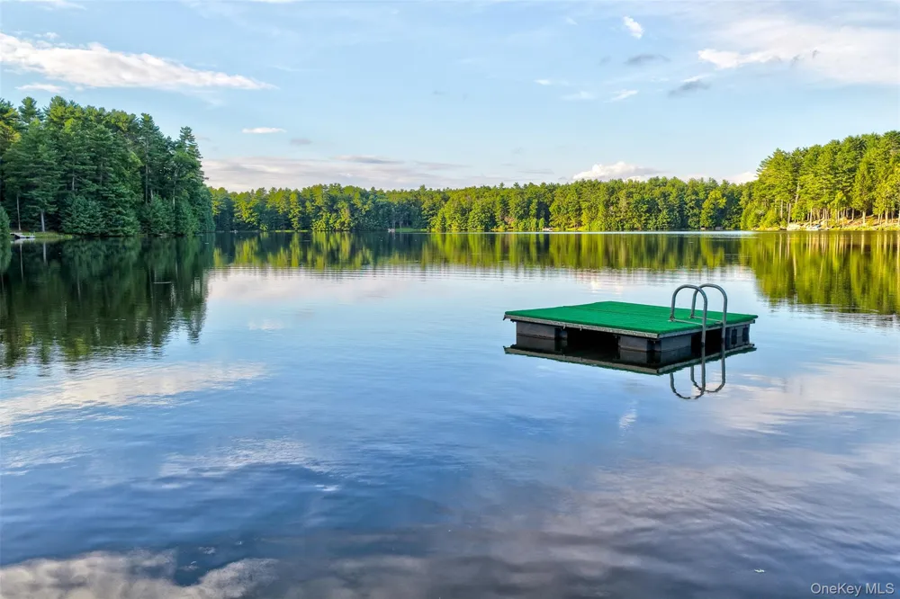 76 Timber Lake Drive Yulan, NY 12792