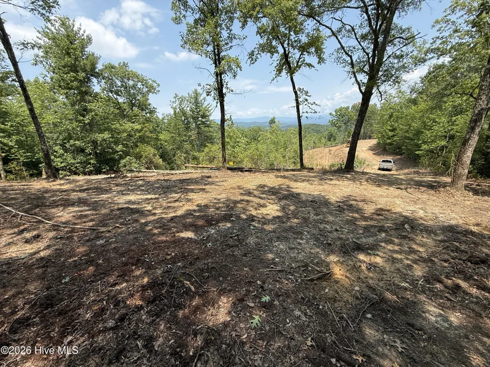 8 Avalon Crst Street Murphy, NC 28906