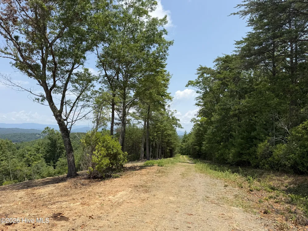 6 Avalon Crst Street Murphy, NC 28906