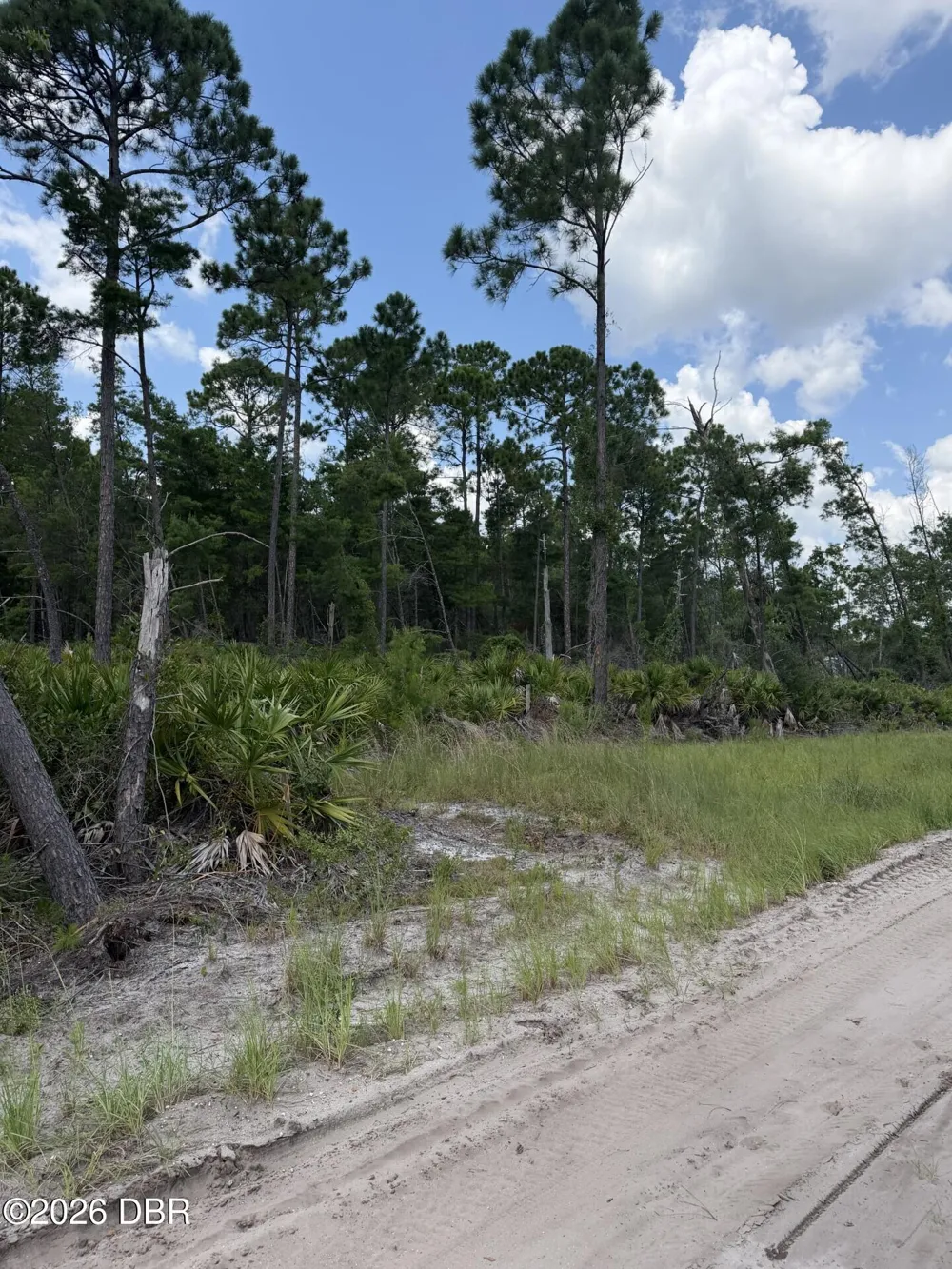 Ridgehaven Avenue Ormond Beach, FL 32174