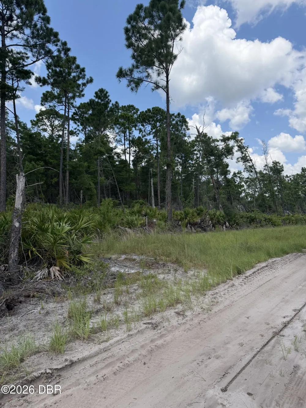 Ridgehaven Avenue Ormond Beach, FL 32174
