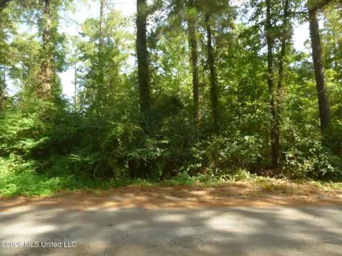 Cedar Drive