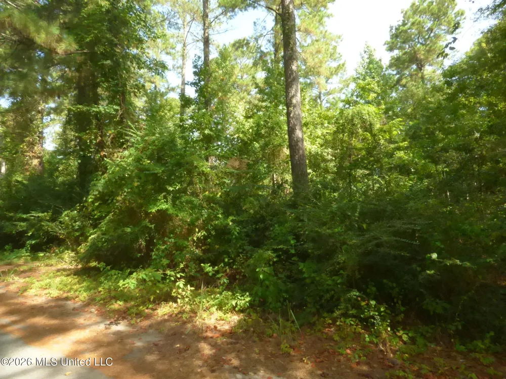 Cedar Drive Monticello, MS 39654