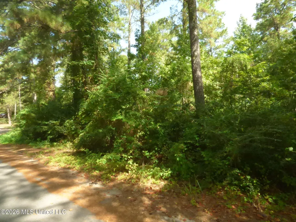 Cedar Drive Monticello, MS 39654
