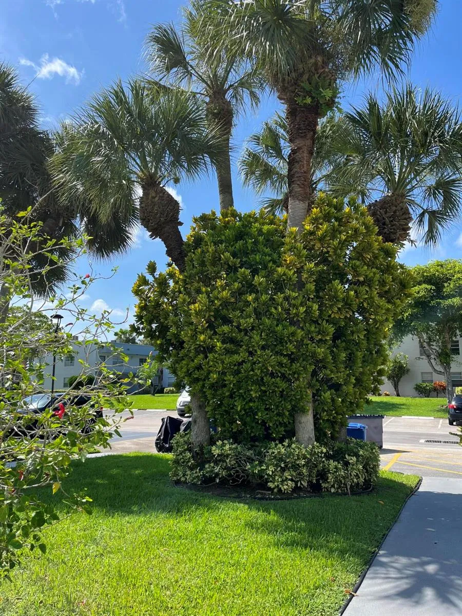 23 Piedmont #A Delray Beach, FL 33484