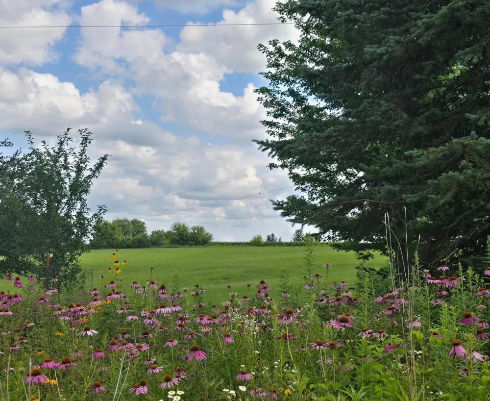18123 Deer Road Lanesboro, MN 55949