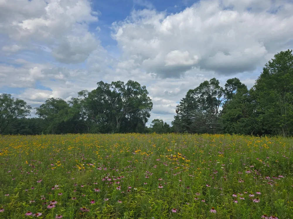 18123 Deer Road Lanesboro, MN 55949