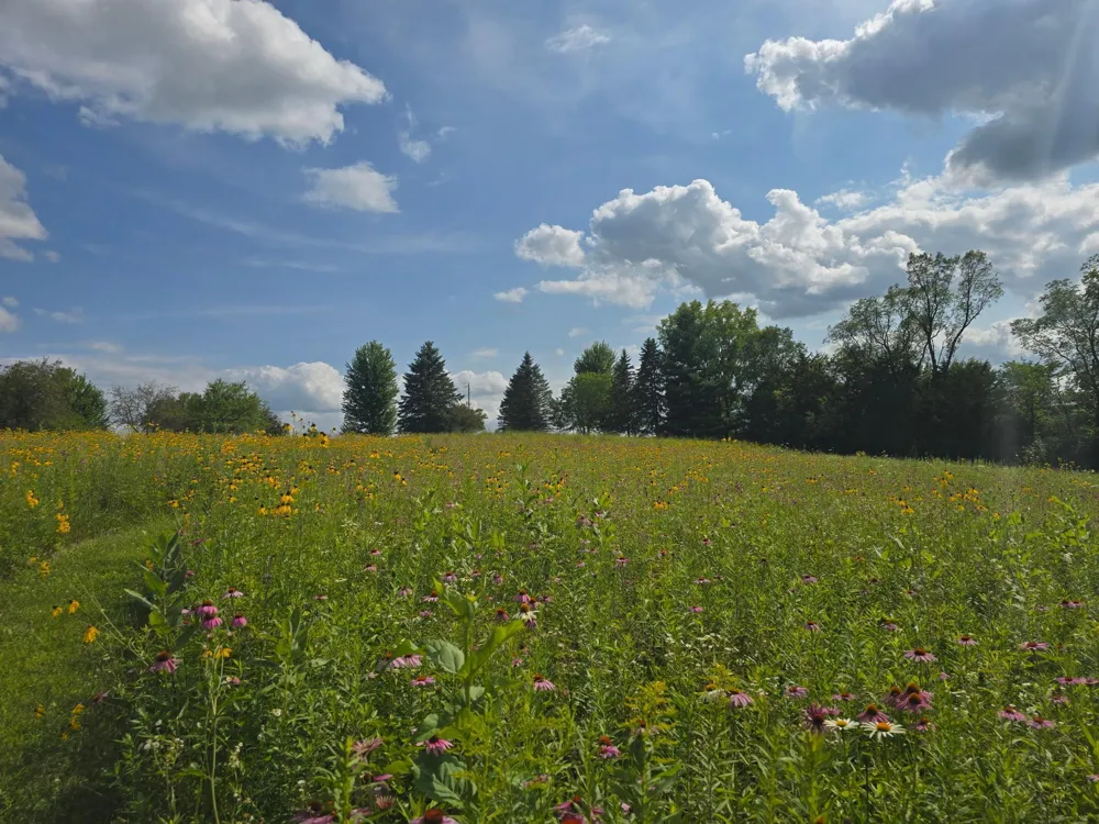 18123 Deer Road Lanesboro, MN 55949