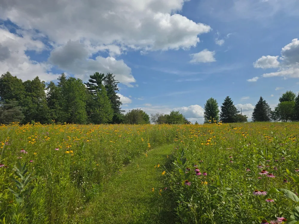 18123 Deer Road Lanesboro, MN 55949