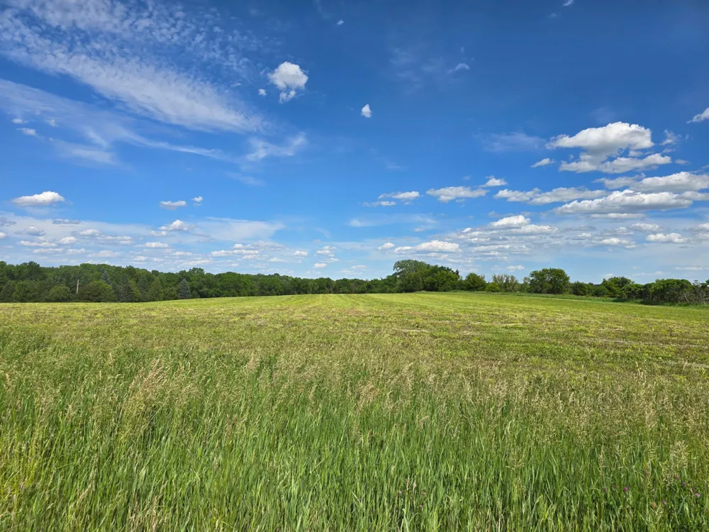 18123 Deer Road Lanesboro, MN 55949