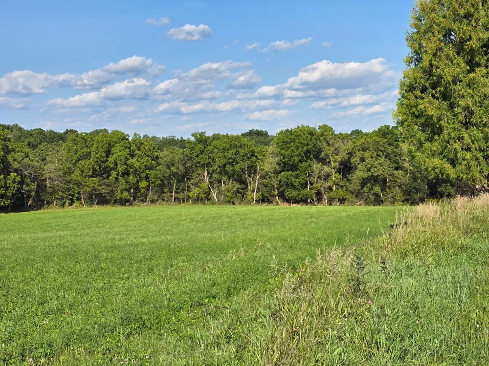 18123 Deer Road Lanesboro, MN 55949