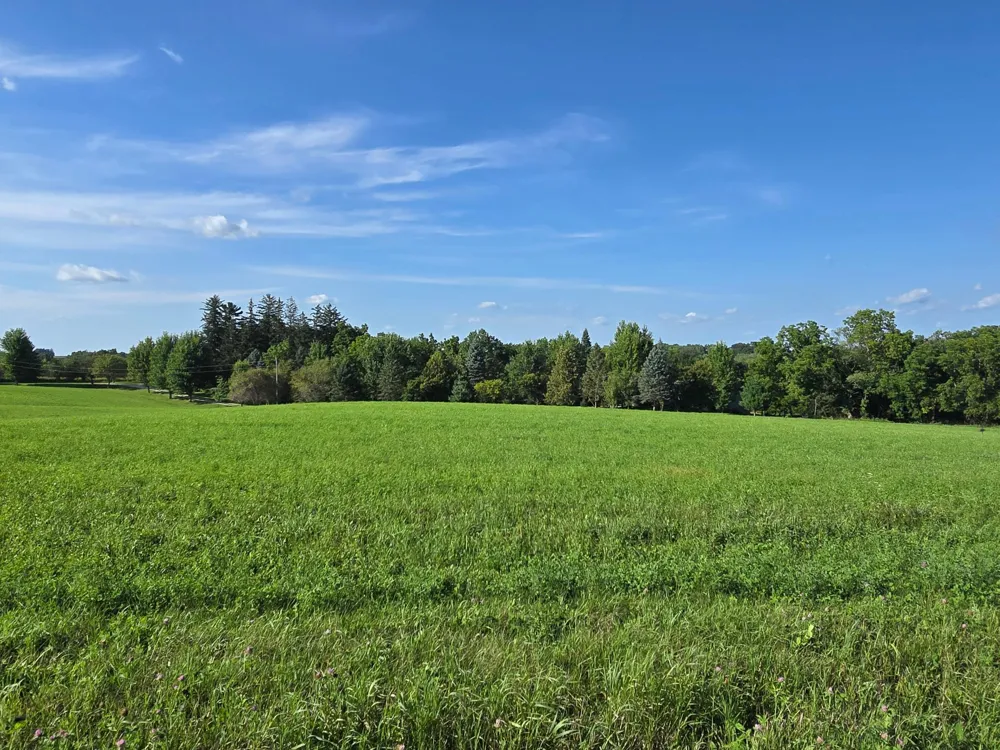 18123 Deer Road Lanesboro, MN 55949