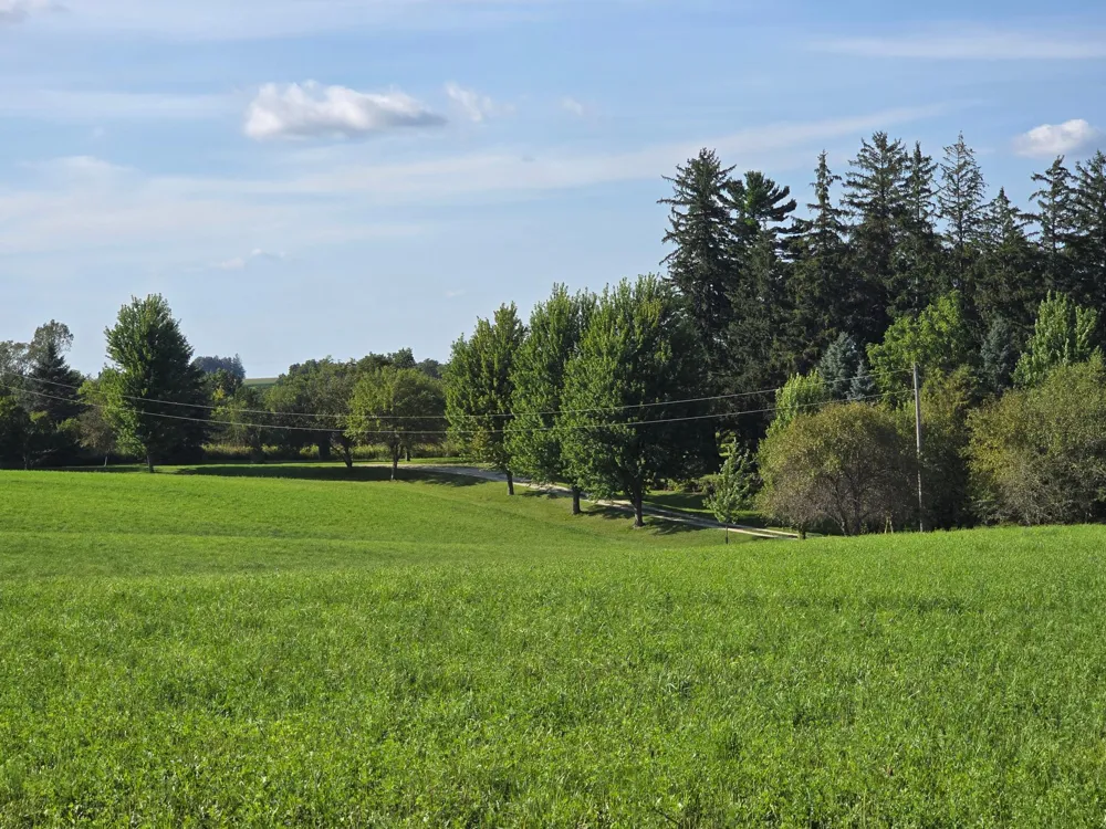 18123 Deer Road Lanesboro, MN 55949