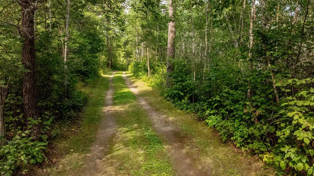 17803 Ivy Drive Park Rapids, MN 56470