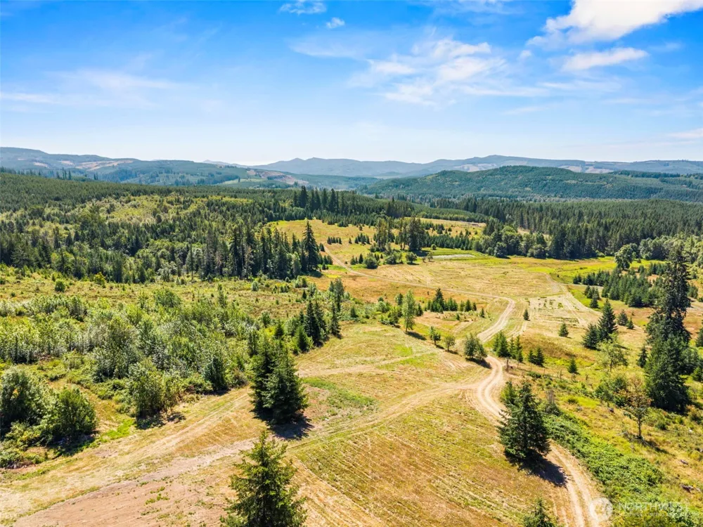 805 Luebke Road Toutle, WA 98649