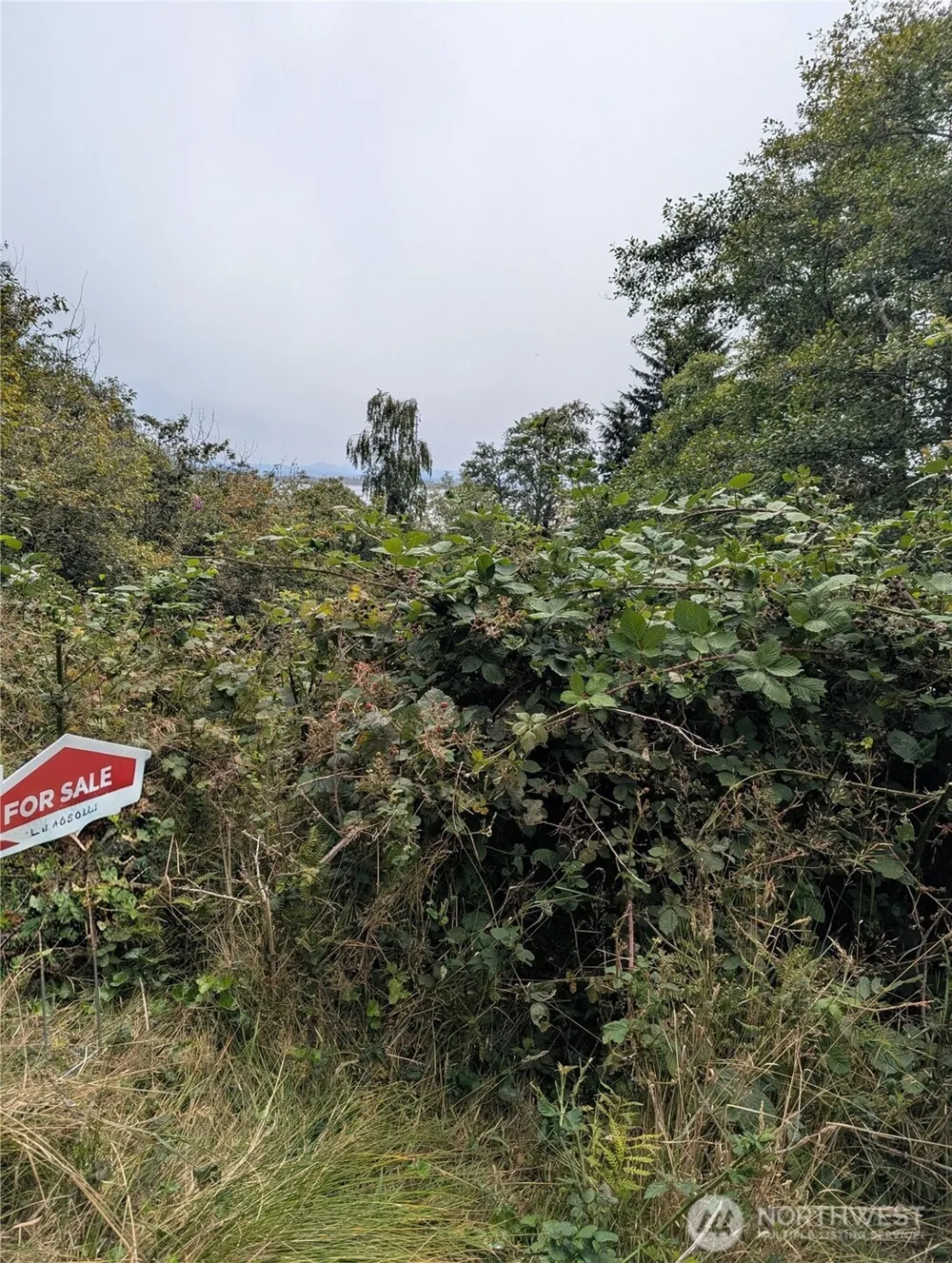 0 Lamontay Lot #6 Place Ilwaco, WA 98624
