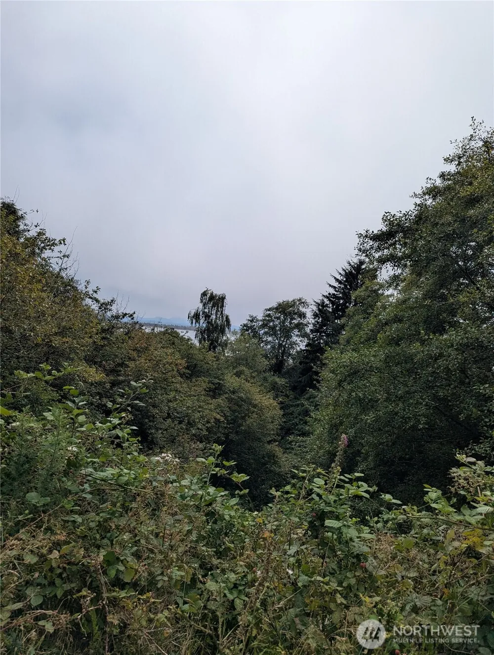 0 Lamontay Lot #6 Place Ilwaco, WA 98624
