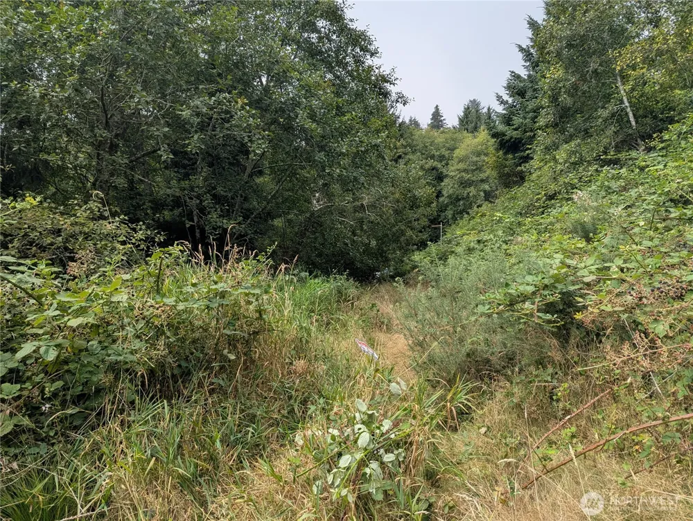 0 Lamontay Lot #6 Place Ilwaco, WA 98624