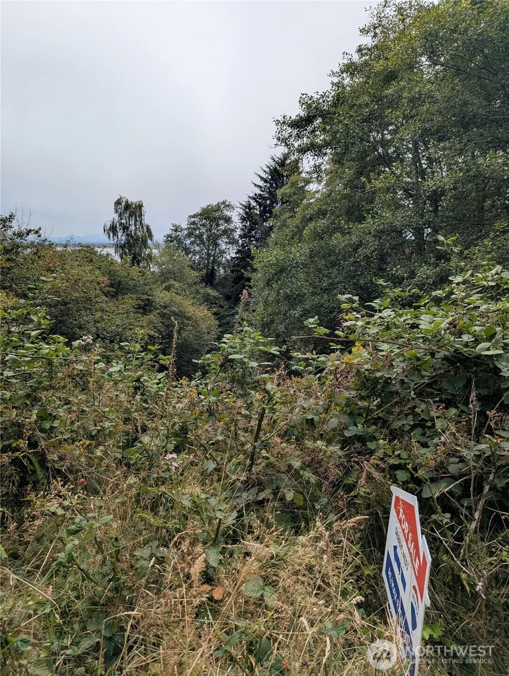 0 Lamontay Lot #6 Place Ilwaco, WA 98624