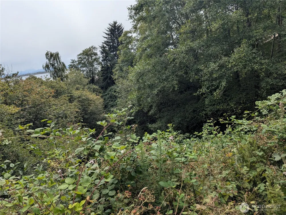 0 Lamontay Lot #6 Place Ilwaco, WA 98624