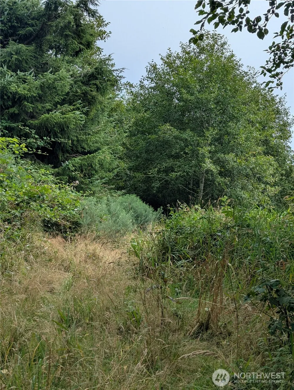 0 Lamontay Lot #6 Place Ilwaco, WA 98624