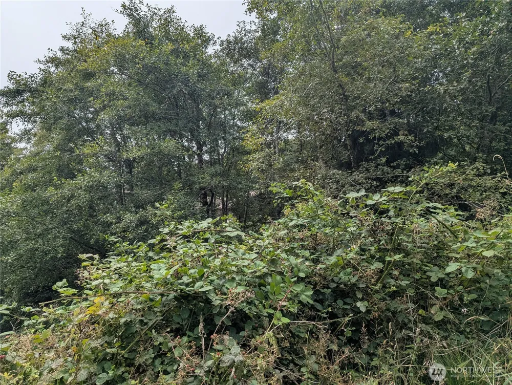 0 Lamontay Lot #6 Place Ilwaco, WA 98624