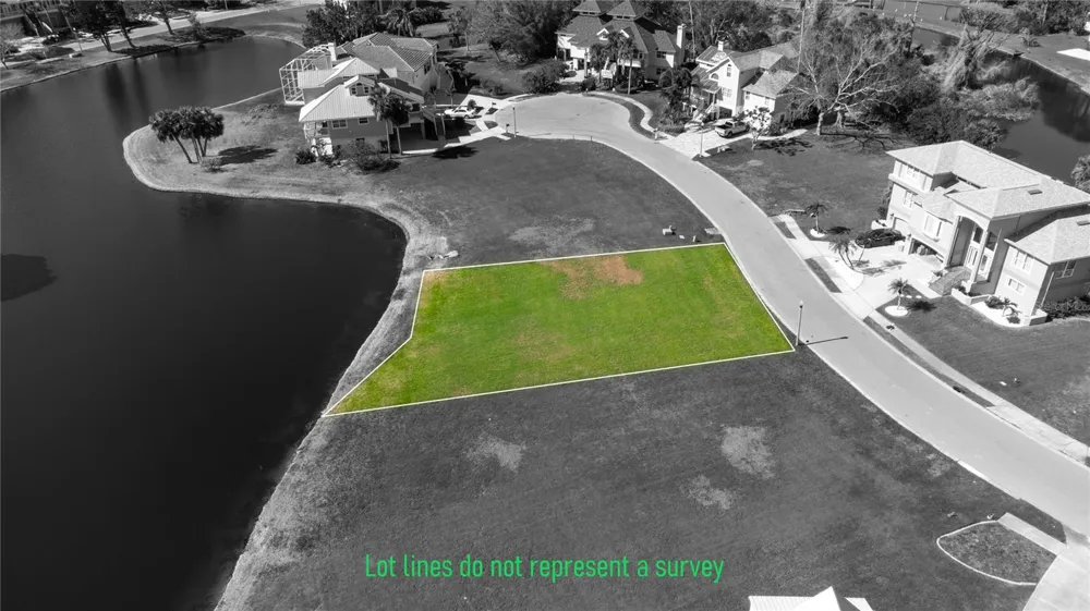 85 SANDPIPER POINTE Tarpon Springs, FL 34689