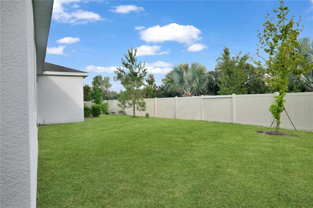 23278 SCAGLIONE DRIVE Lutz, FL 33549