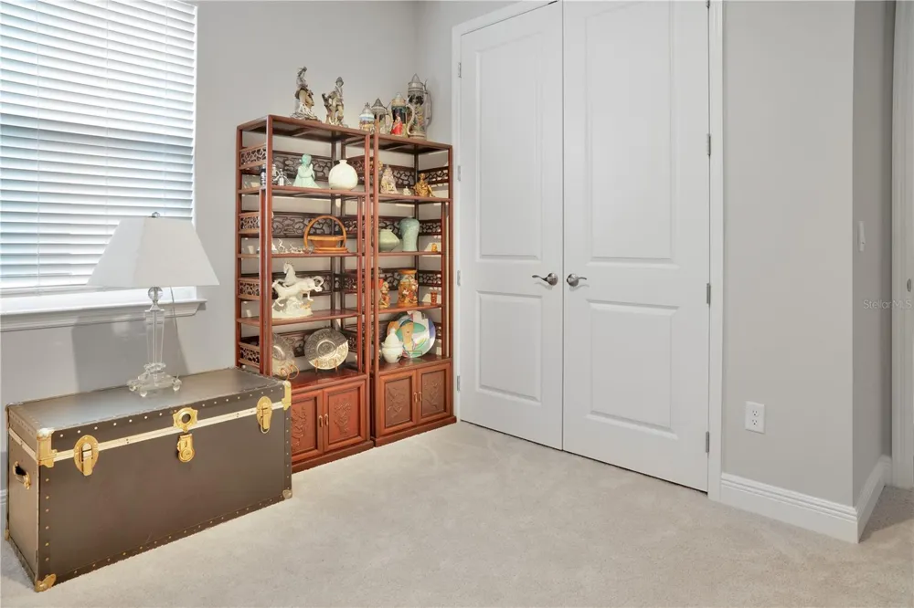 23278 SCAGLIONE DRIVE Lutz, FL 33549