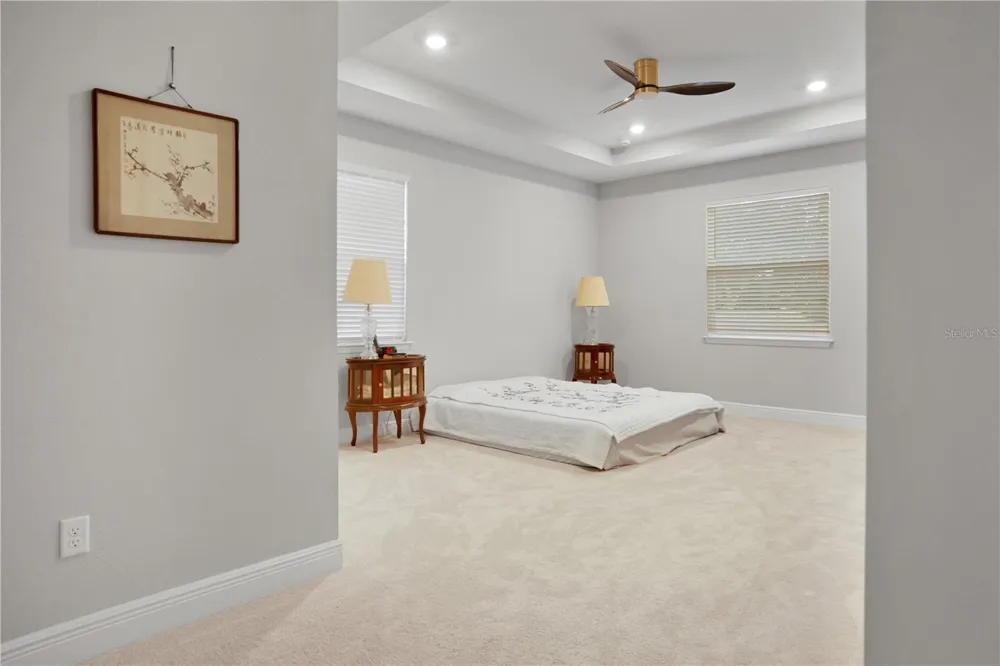 23278 SCAGLIONE DRIVE Lutz, FL 33549