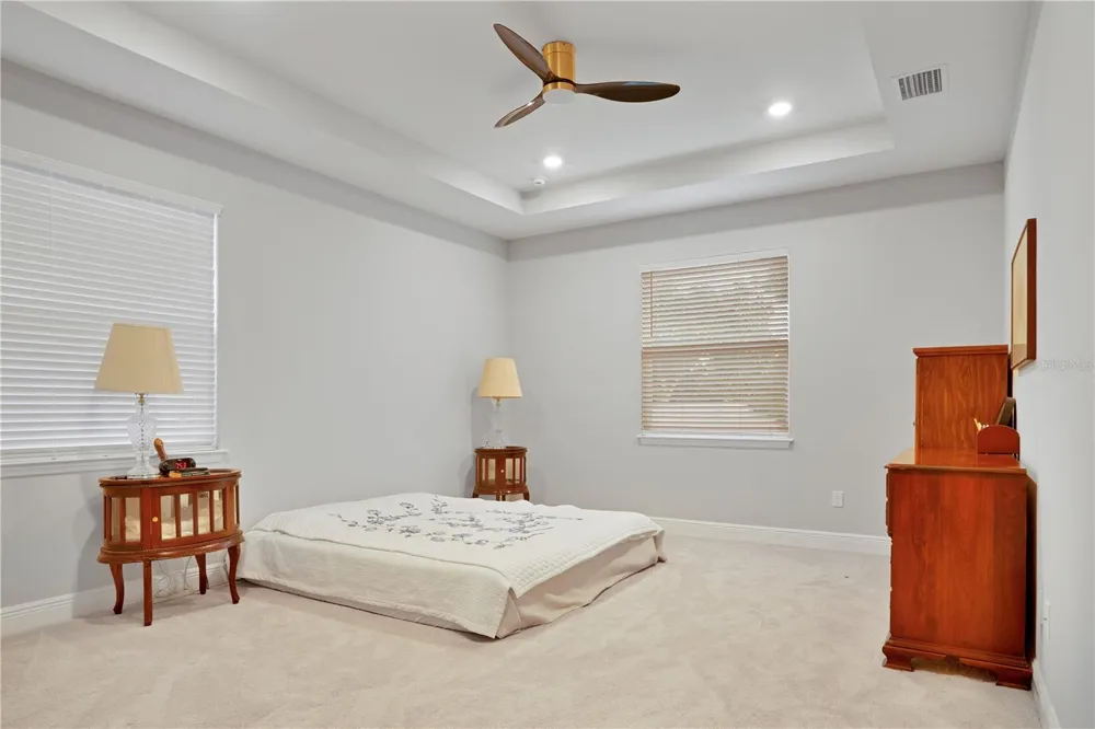 23278 SCAGLIONE DRIVE Lutz, FL 33549