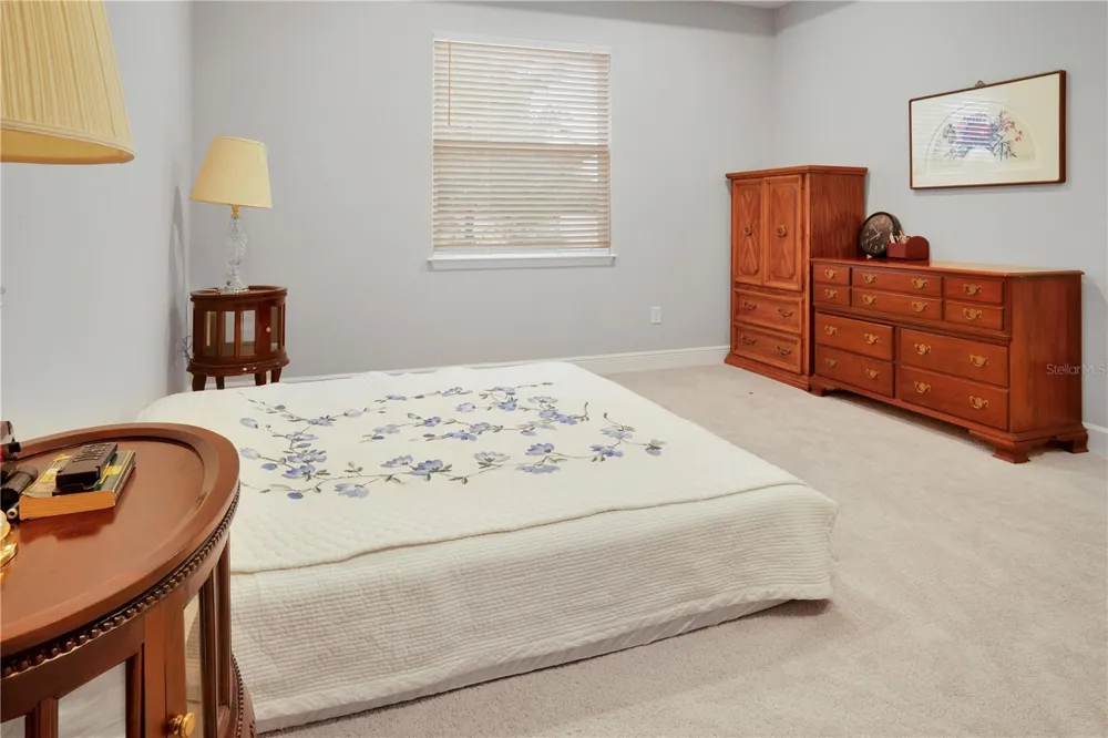 23278 SCAGLIONE DRIVE Lutz, FL 33549