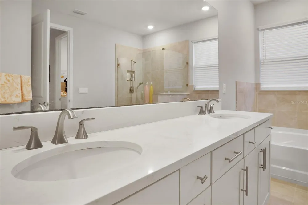23278 SCAGLIONE DRIVE Lutz, FL 33549