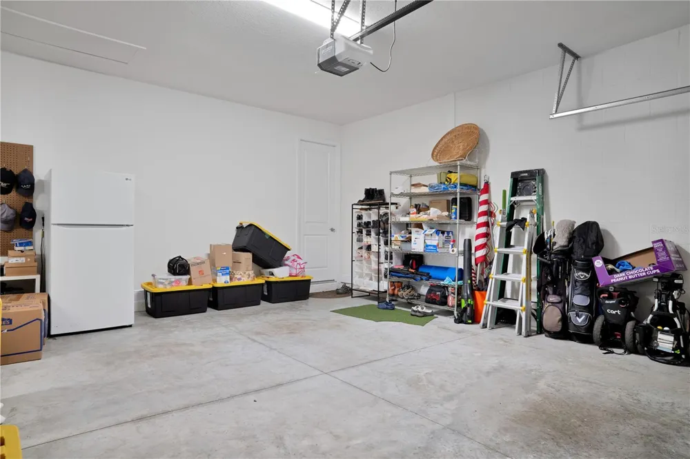 23278 SCAGLIONE DRIVE Lutz, FL 33549