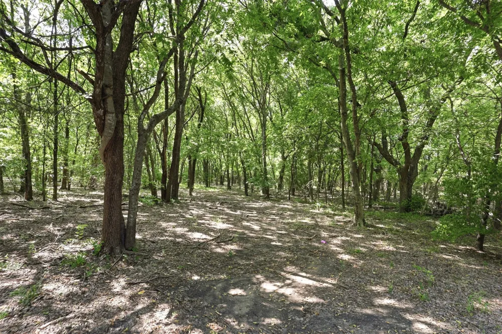 4111 Fm 2862 Anna, TX 75409