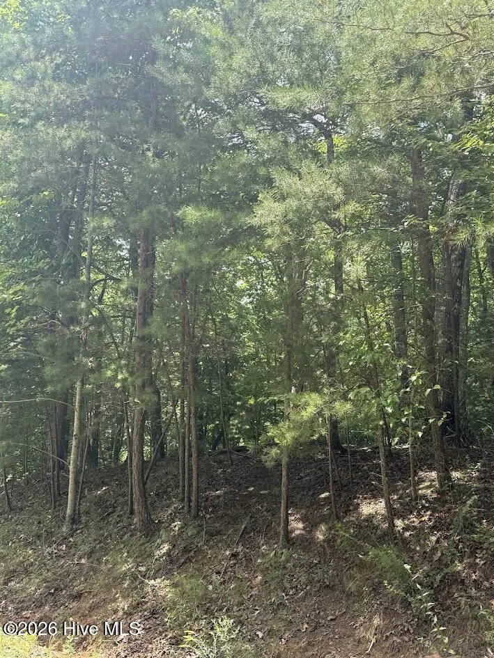 Lot #46 Pine Cove Lane Murphy, NC 28906