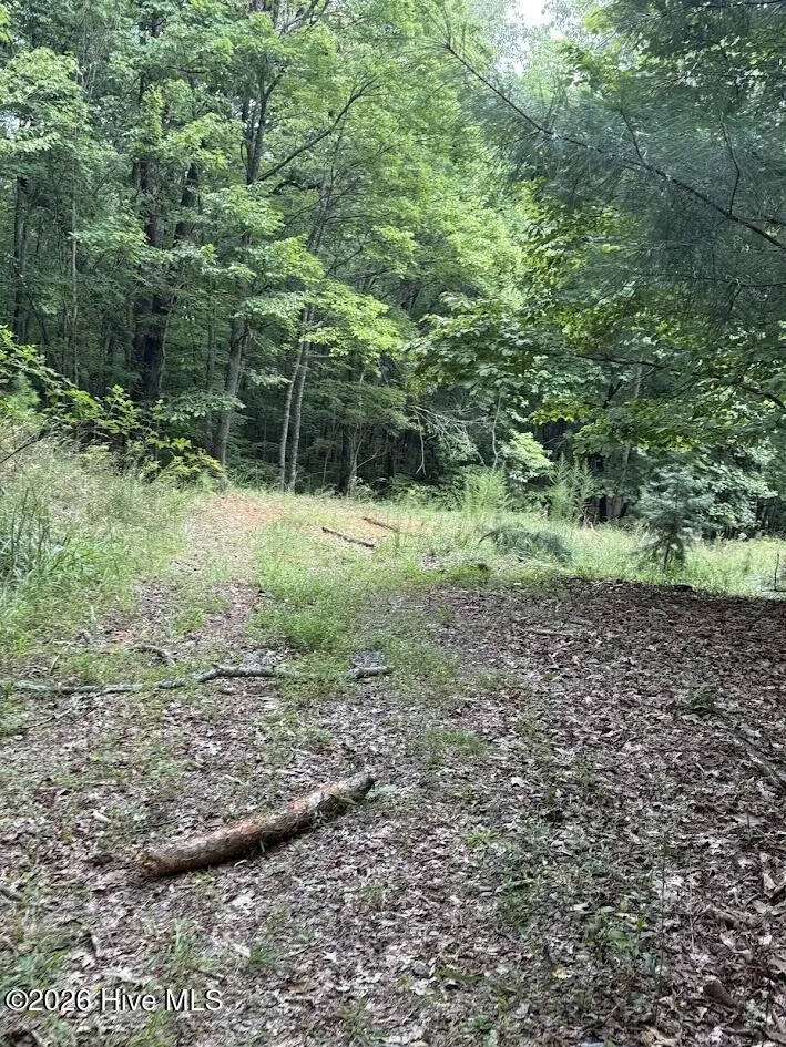 Lot #46 Pine Cove Lane Murphy, NC 28906