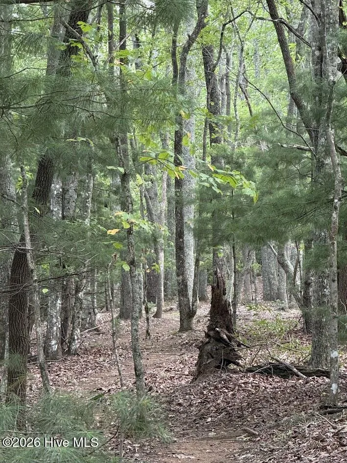 Lot #46 Pine Cove Lane Murphy, NC 28906