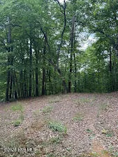 Lot #46 Pine Cove Lane Murphy, NC 28906