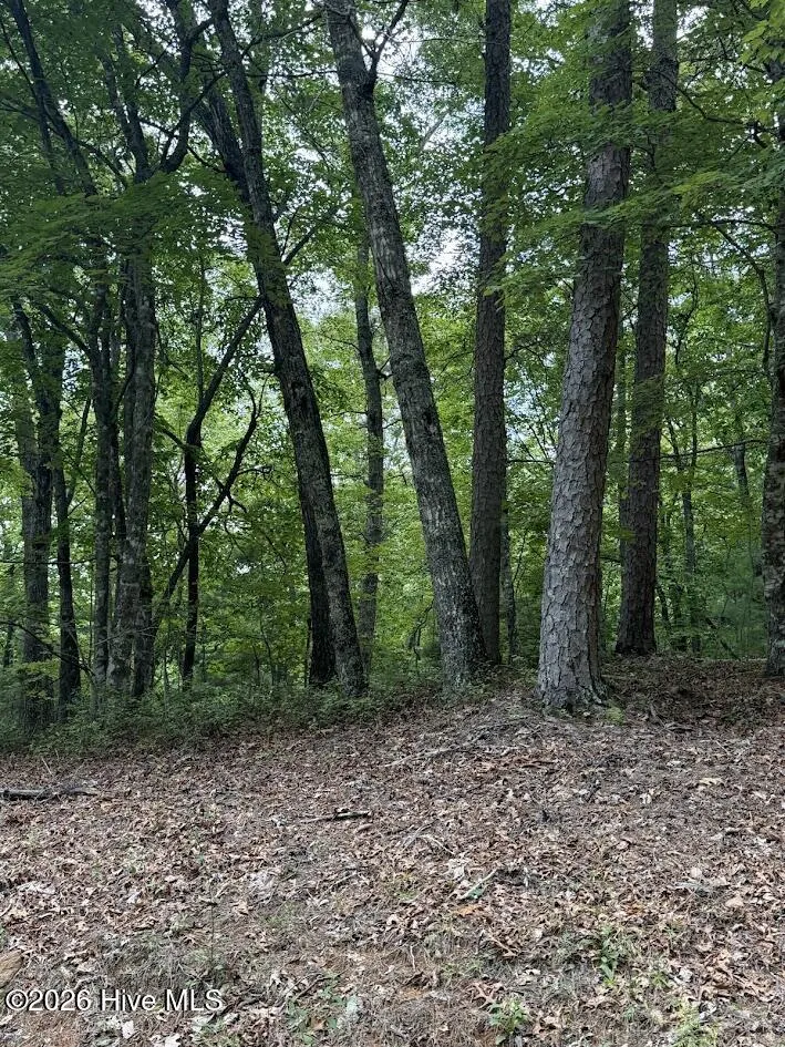 Lot #46 Pine Cove Lane Murphy, NC 28906