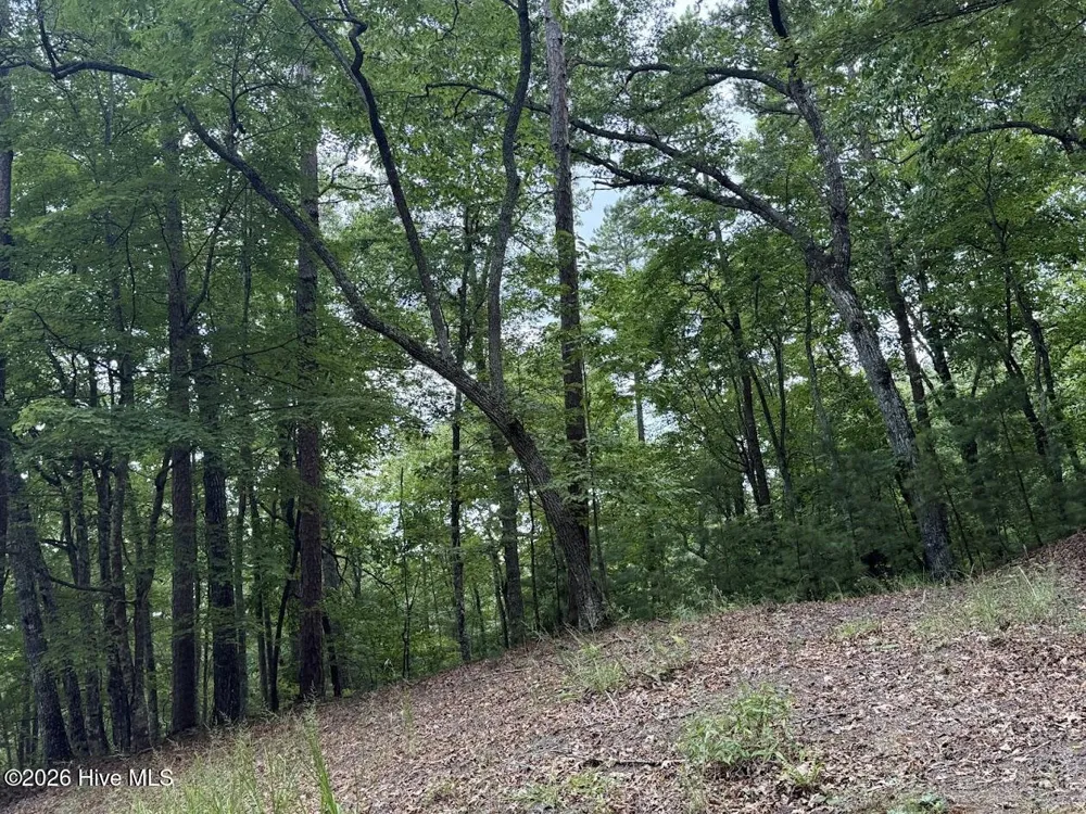 Lot #46 Pine Cove Lane Murphy, NC 28906