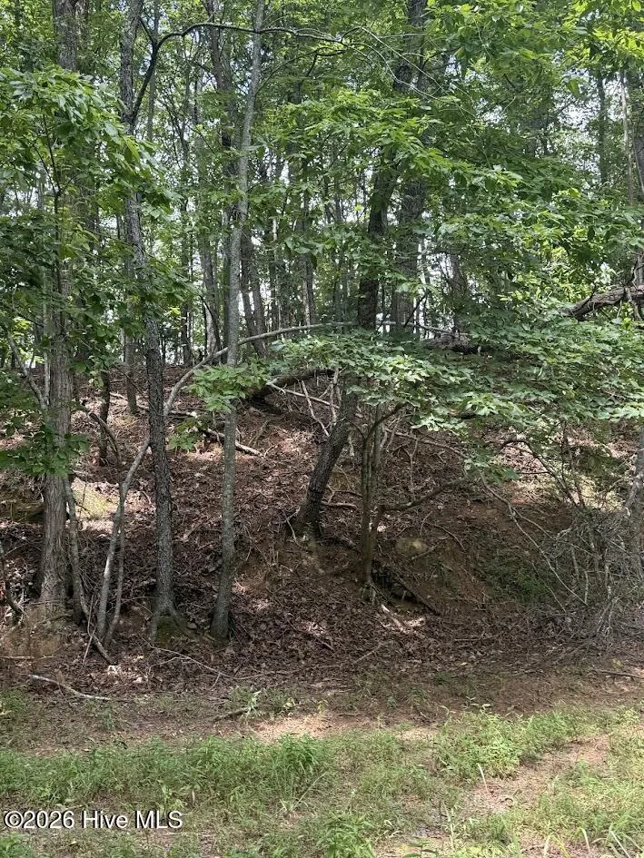 Lot #46 Pine Cove Lane Murphy, NC 28906
