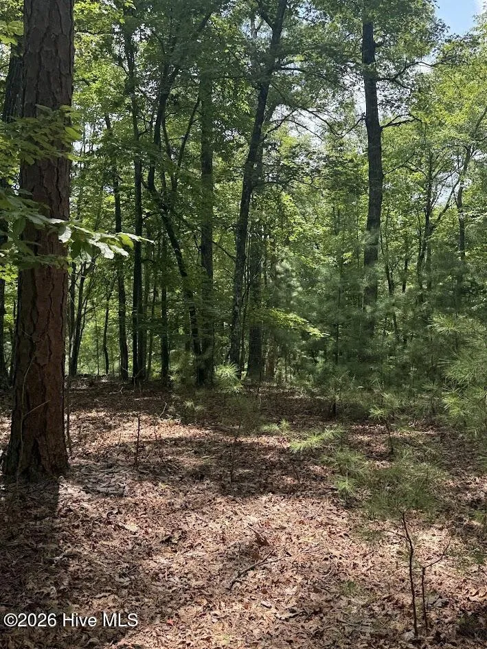 Lot #46 Pine Cove Lane Murphy, NC 28906