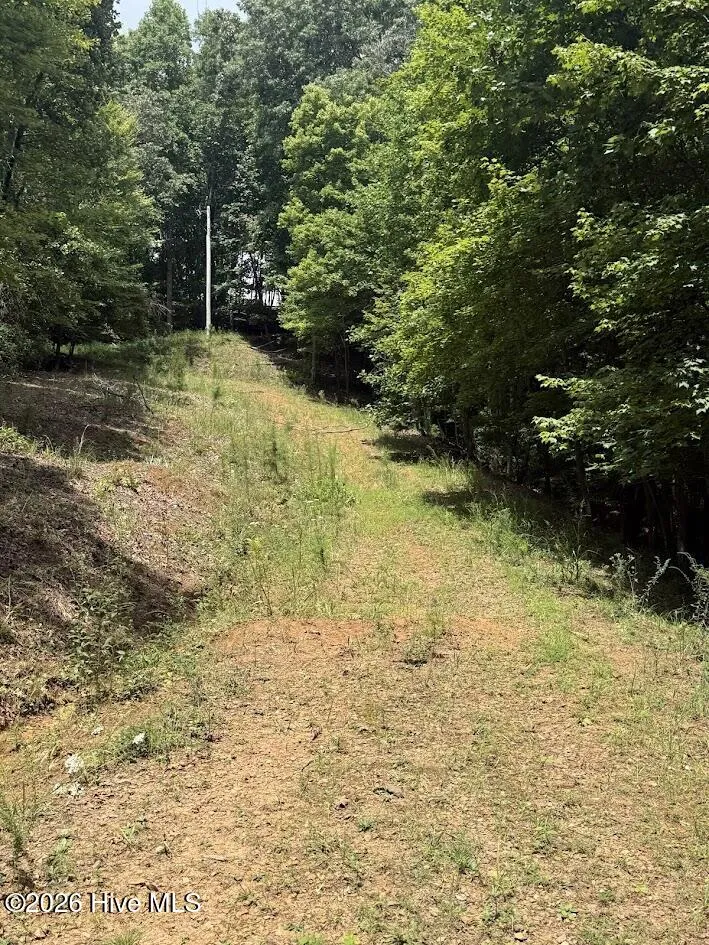 Lot #46 Pine Cove Lane Murphy, NC 28906