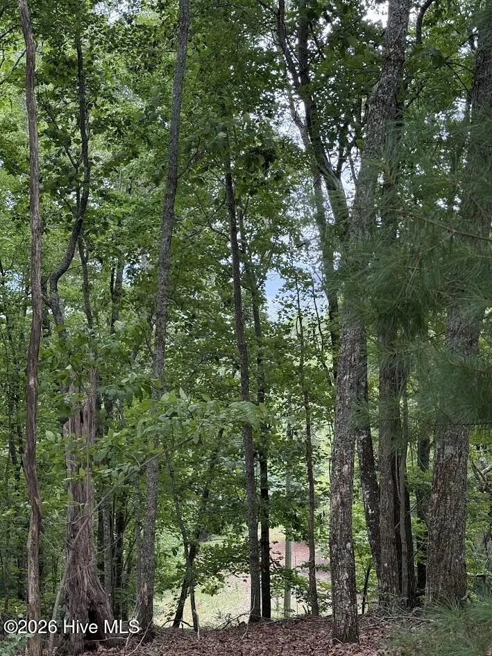 Lot #46 Pine Cove Lane Murphy, NC 28906