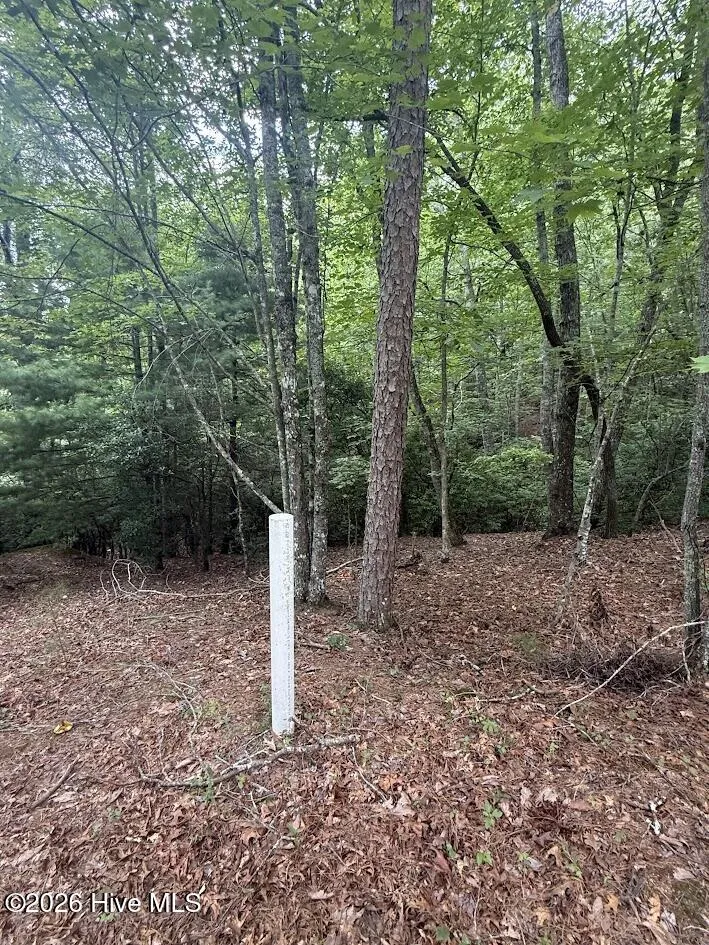 Lot #46 Pine Cove Lane Murphy, NC 28906