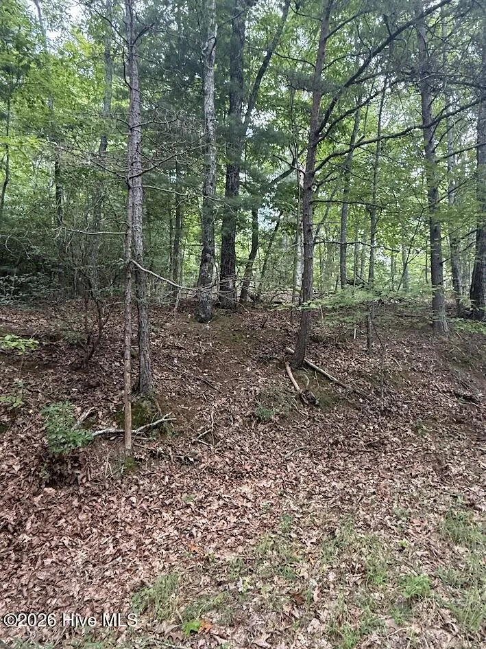 Lot #46 Pine Cove Lane Murphy, NC 28906