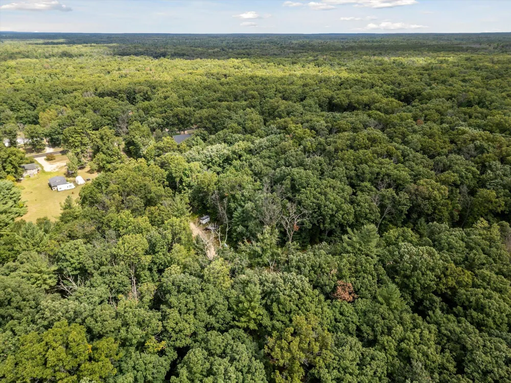 23861 Almy Road Reynolds Township, MI 49329